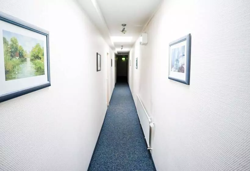 Отель Sauer Garni