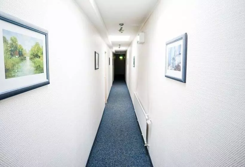 Отель Sauer Garni