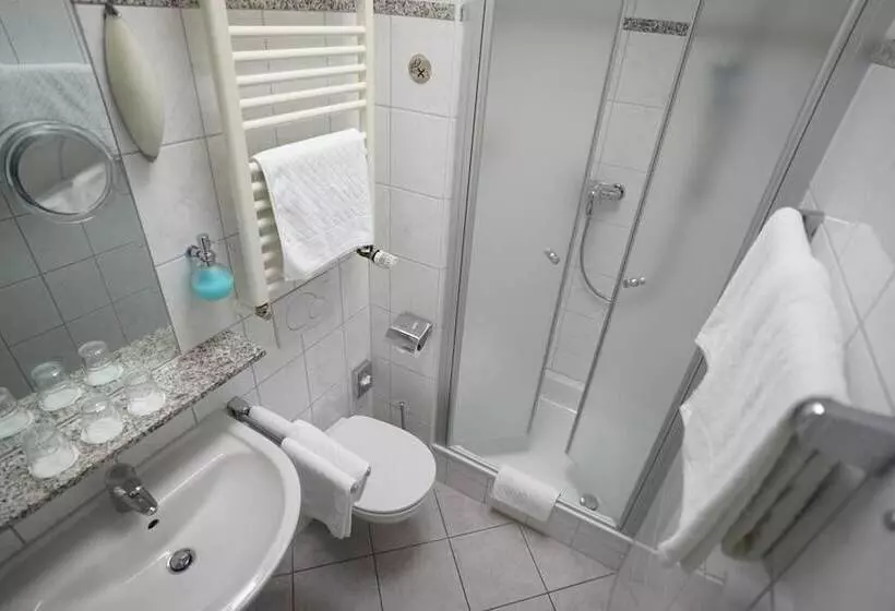 Отель Sauer Garni