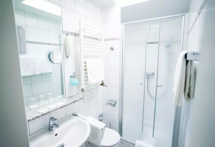 Отель Sauer Garni