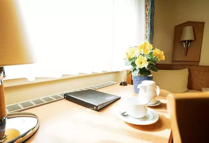 Отель Sauer Garni