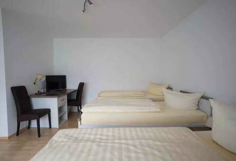 Отель Sauer Garni