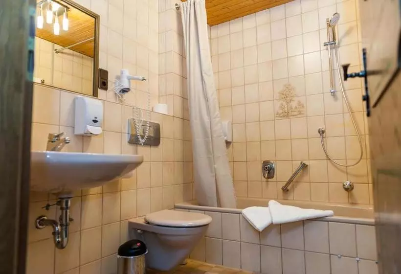 פנסיון Brauereigasthof Und Schmucker