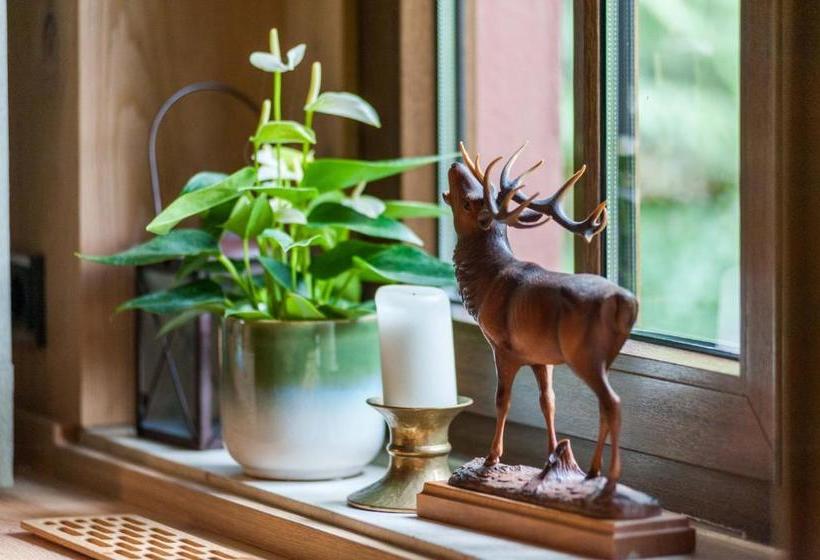 פנסיון Brauereigasthof Und  Schmucker