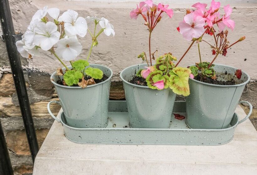 Daisy's Holiday Cottage