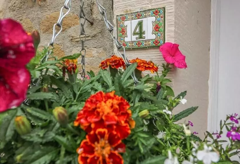 Daisy's Holiday Cottage