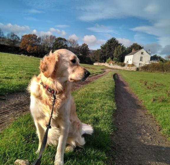The Old Rectory Bed & Breakfast