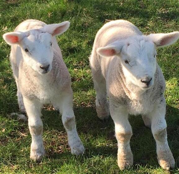 The Old Rectory Bed & Breakfast