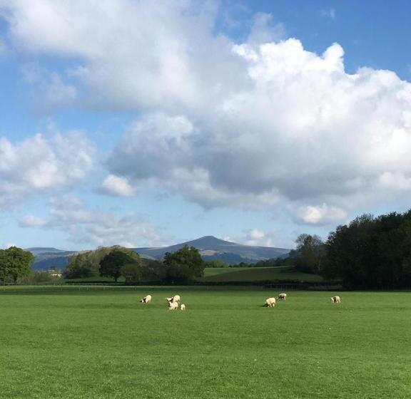 The Old Rectory Bed & Breakfast