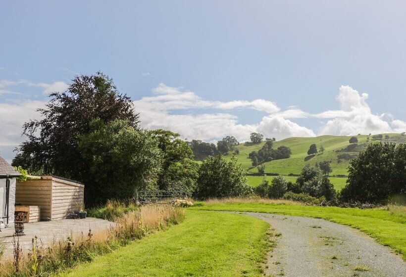 The Old Beams At Pont Y Forwyn
