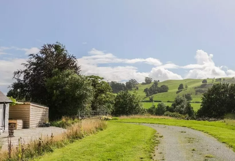 The Old Beams At Pont Y Forwyn