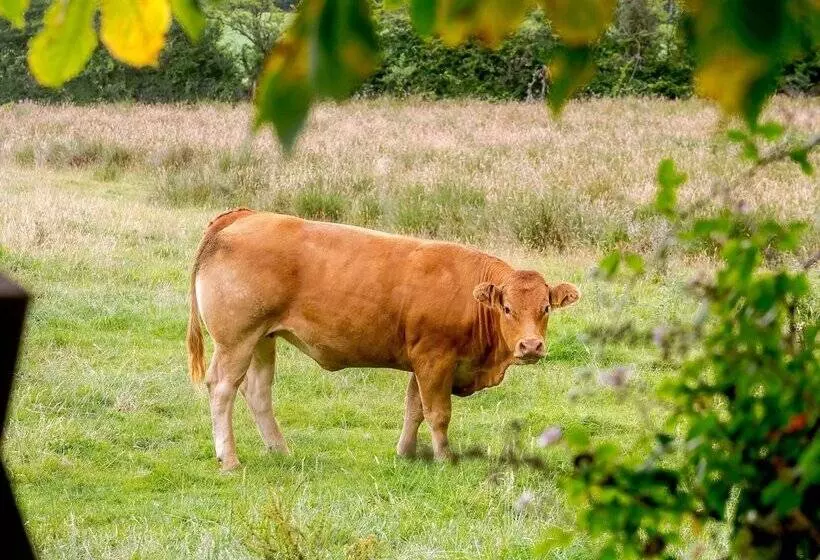 3 Black Horse Cottages
