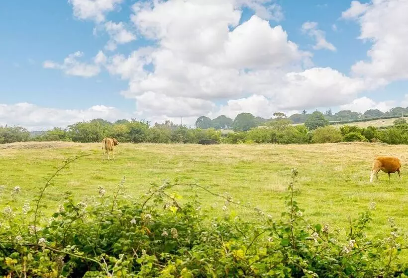 3 Black Horse Cottages