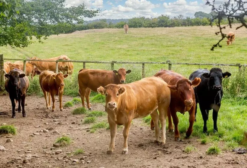 3 Black Horse Cottages