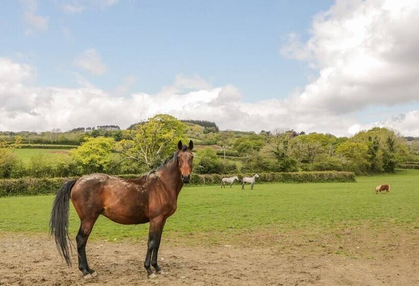 Higher Whiddon Farm Whiddon Well