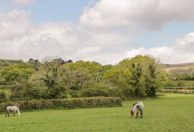 Higher Whiddon Farm Whiddon Well