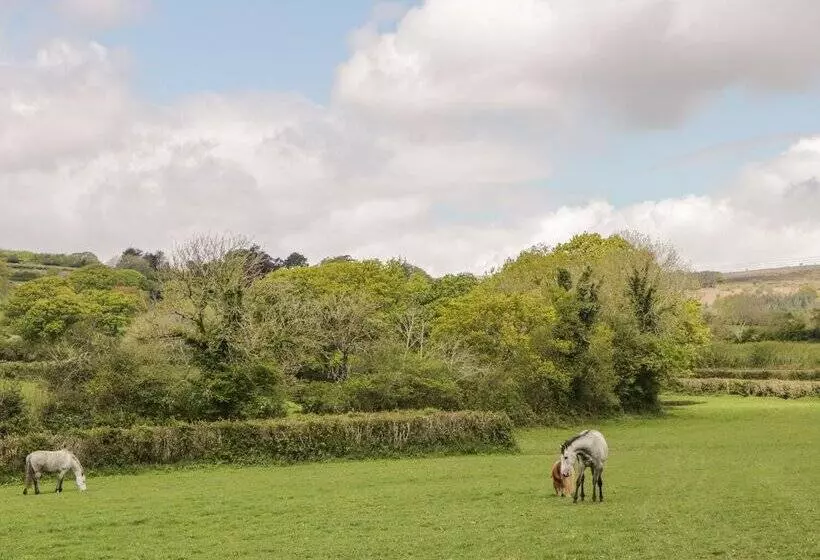 Higher Whiddon Farm Whiddon Well