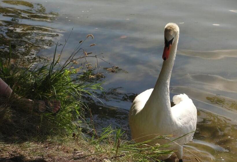 민박 Agroturystyka Katarzyna Tarasiewicz