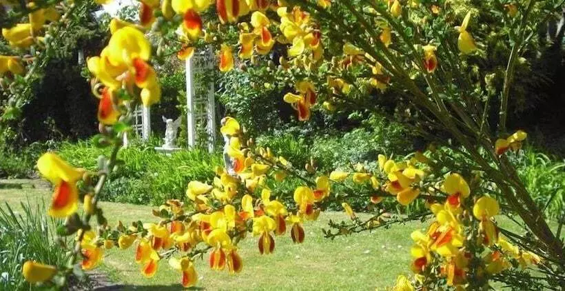 Cherry Garden B&b