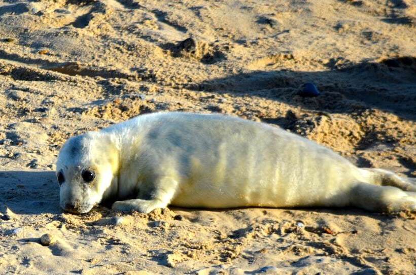 Bed and Breakfast Cotenham Barn