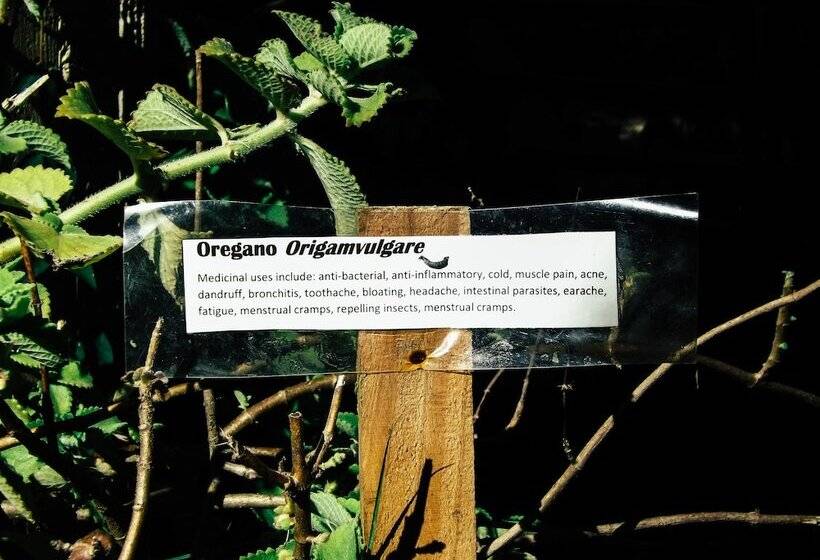 Belmopan Tiny Houses