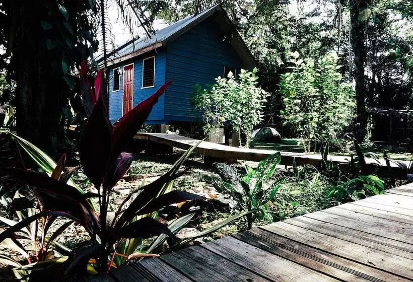 Belmopan Tiny Houses