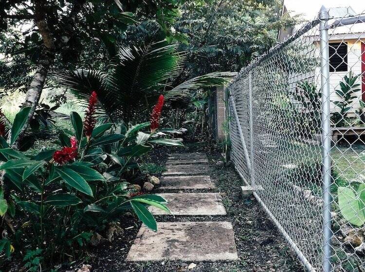 Belmopan Tiny Houses