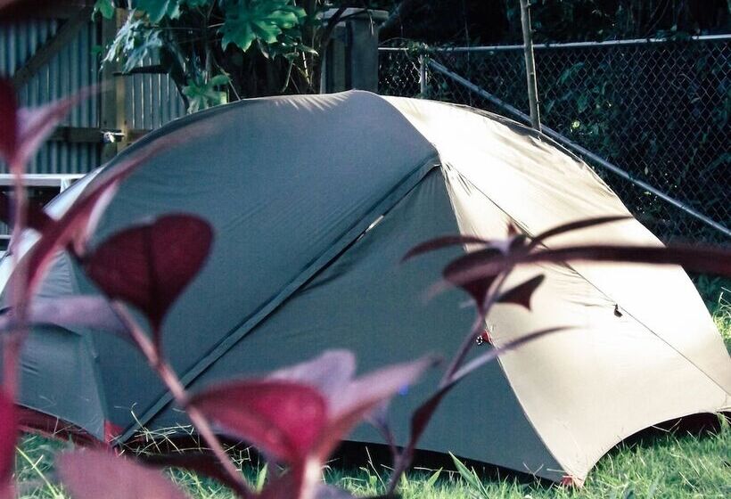 Belmopan Tiny Houses
