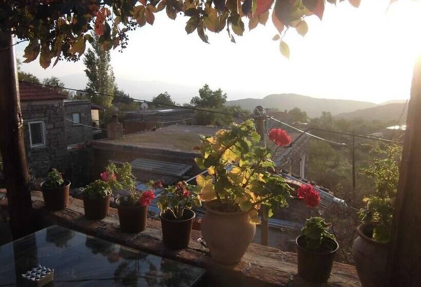 酒店 Assos Tasli Kosk