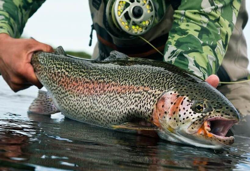 호텔 Moonstruck Apartment 1