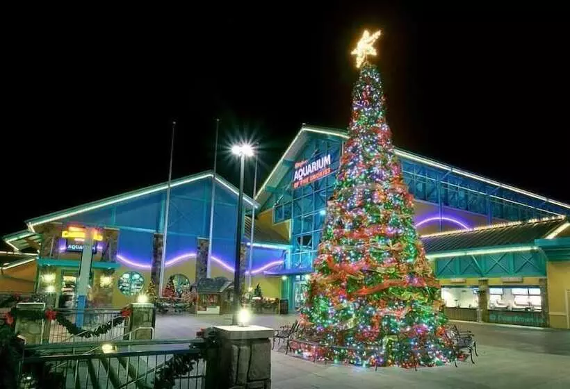 Hotelli Uwoduhi Pool Lodge Apartment 6