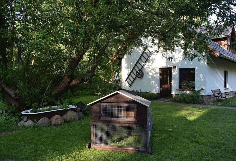 بنسيون Ferienhof Bohg