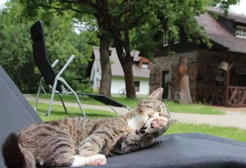 ペンション Ferienhof Bohg