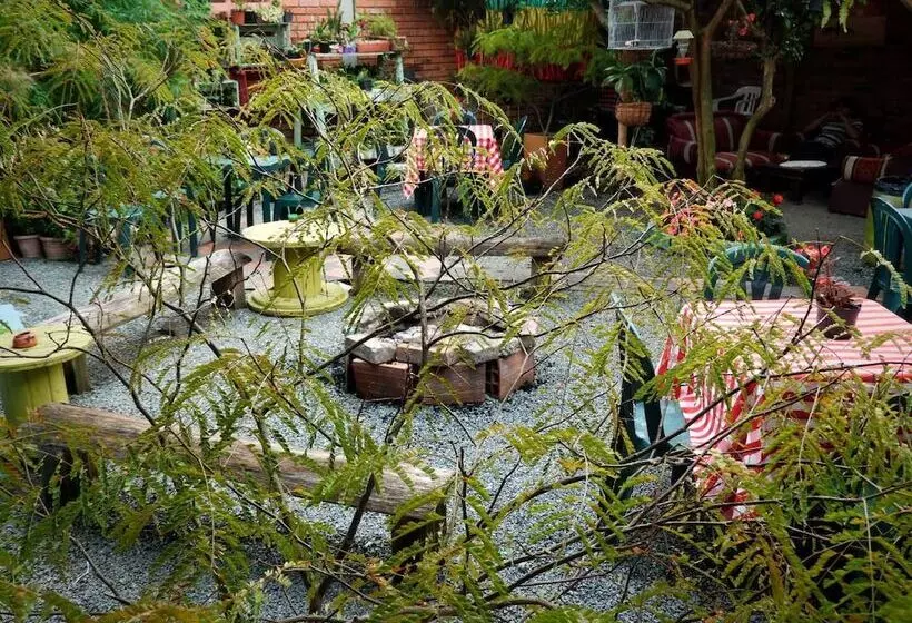 ペンション Seeds & Roots Raíces Y Semillas