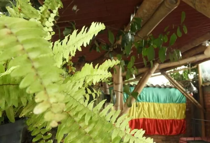 ペンション Seeds & Roots Raíces Y Semillas
