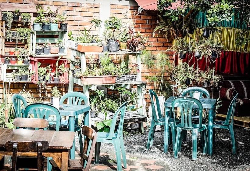 Pension Seeds & Roots Raíces Y Semillas