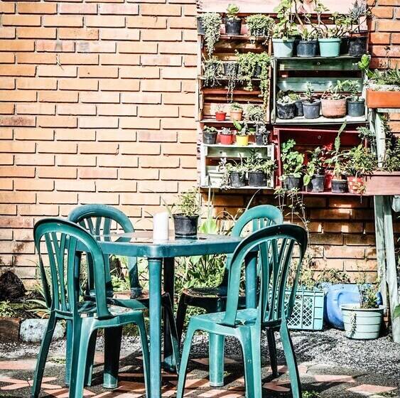 Pension Seeds & Roots Raíces Y Semillas