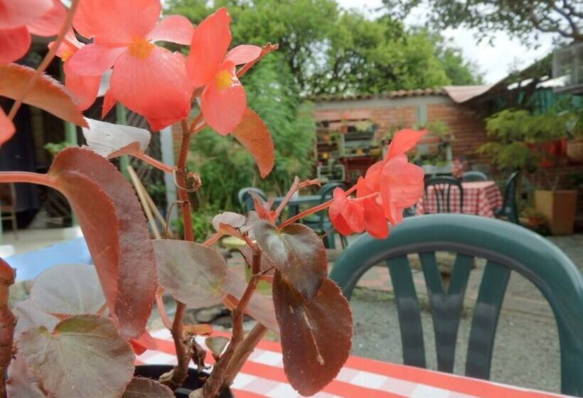 Pension Seeds & Roots Raíces Y Semillas