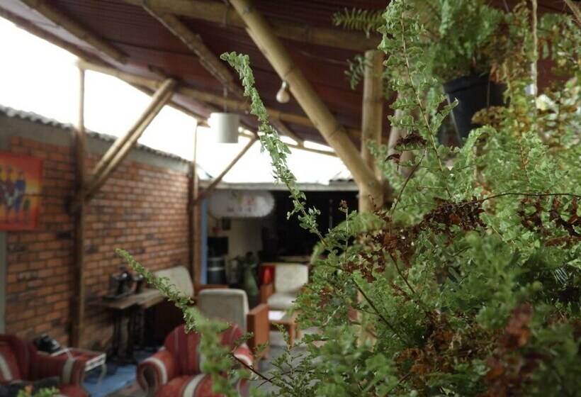 Pension Seeds & Roots Raíces Y Semillas