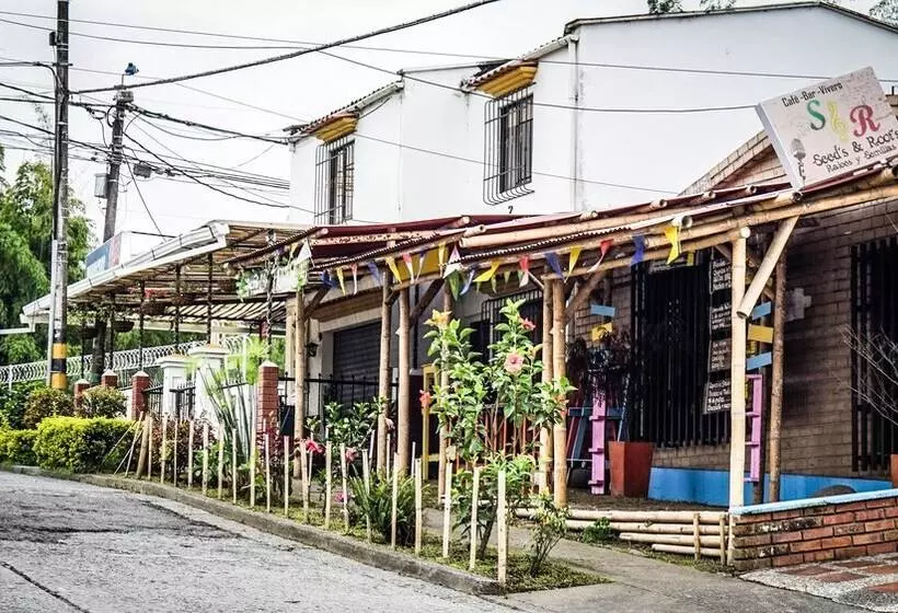 ペンション Seeds & Roots Raíces Y Semillas