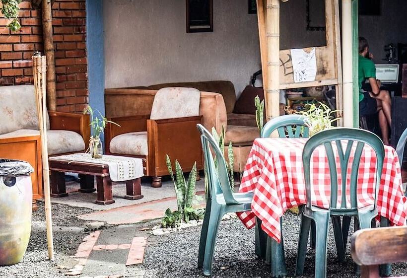 Panzió Seeds & Roots Raíces Y Semillas