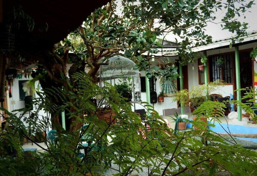 Pension Seeds & Roots Raíces Y Semillas