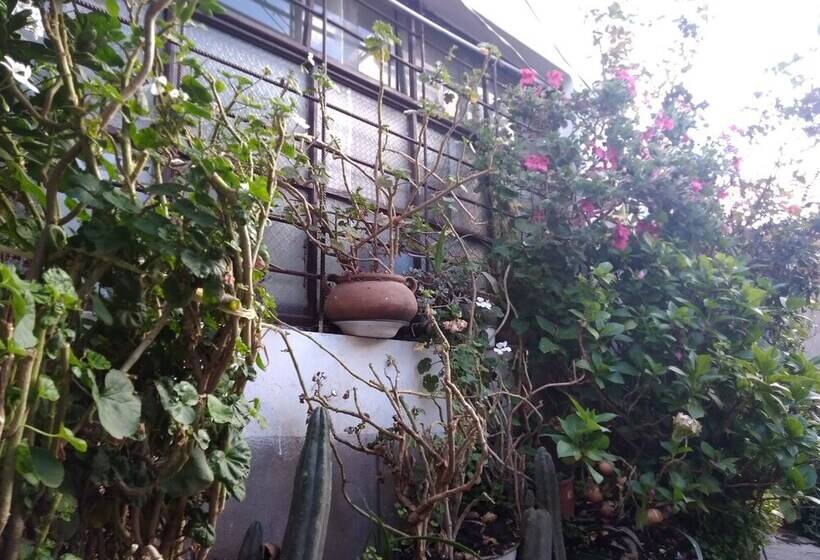 膳宿费 Union Wasi 238