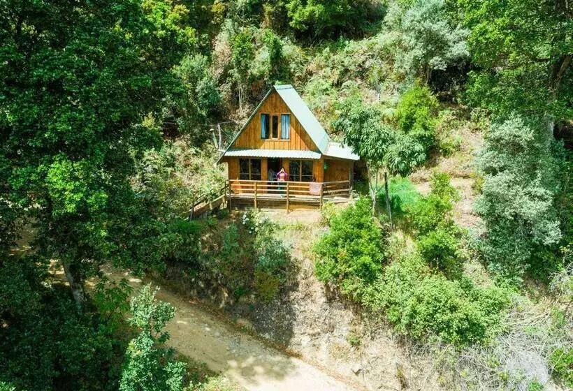 Quetzal Valley Cabins