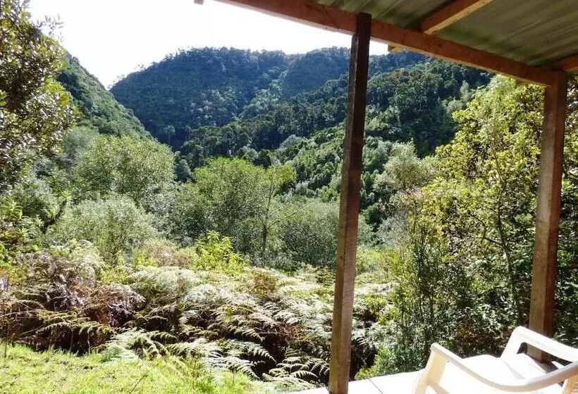 Quetzal Valley Cabins