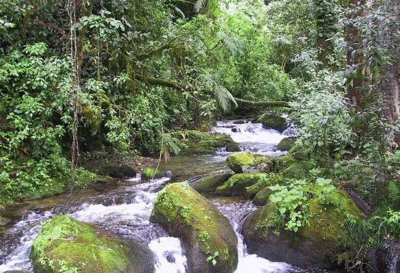Quetzal Valley Cabins
