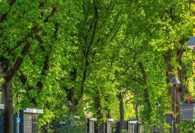 Residenssi Europarc De Zanding