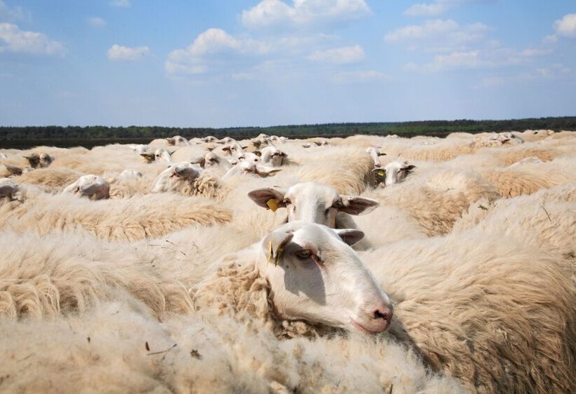 דירת נופש Europarc De Zanding