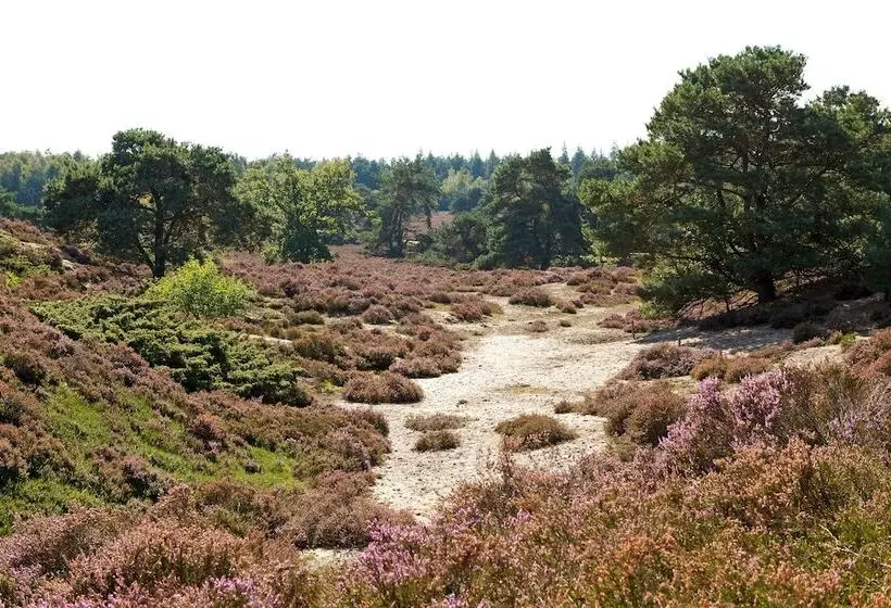 Residenssi Europarc De Zanding