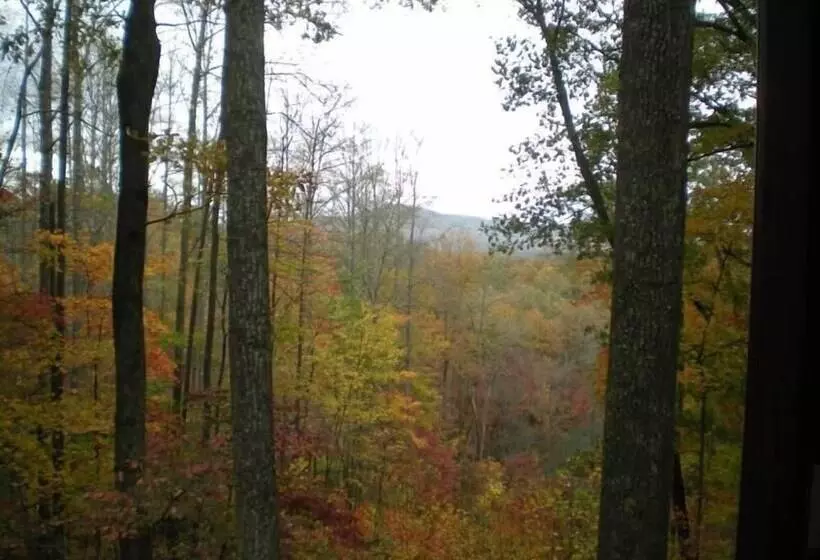 Turkey Feather Nevaeh Cabin Rentals